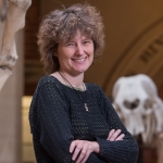 Description coming soon