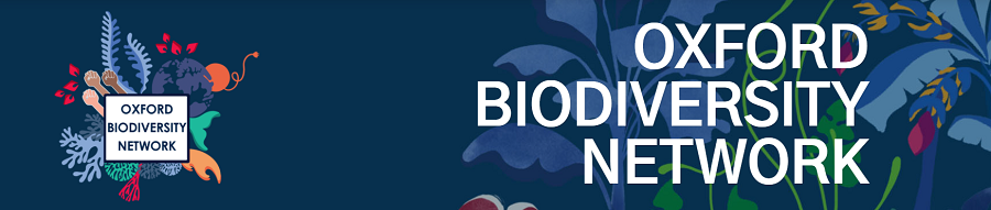 Description coming soon