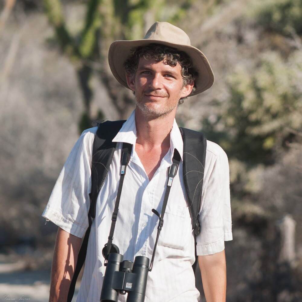  Description coming soon