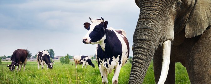  Description coming soon