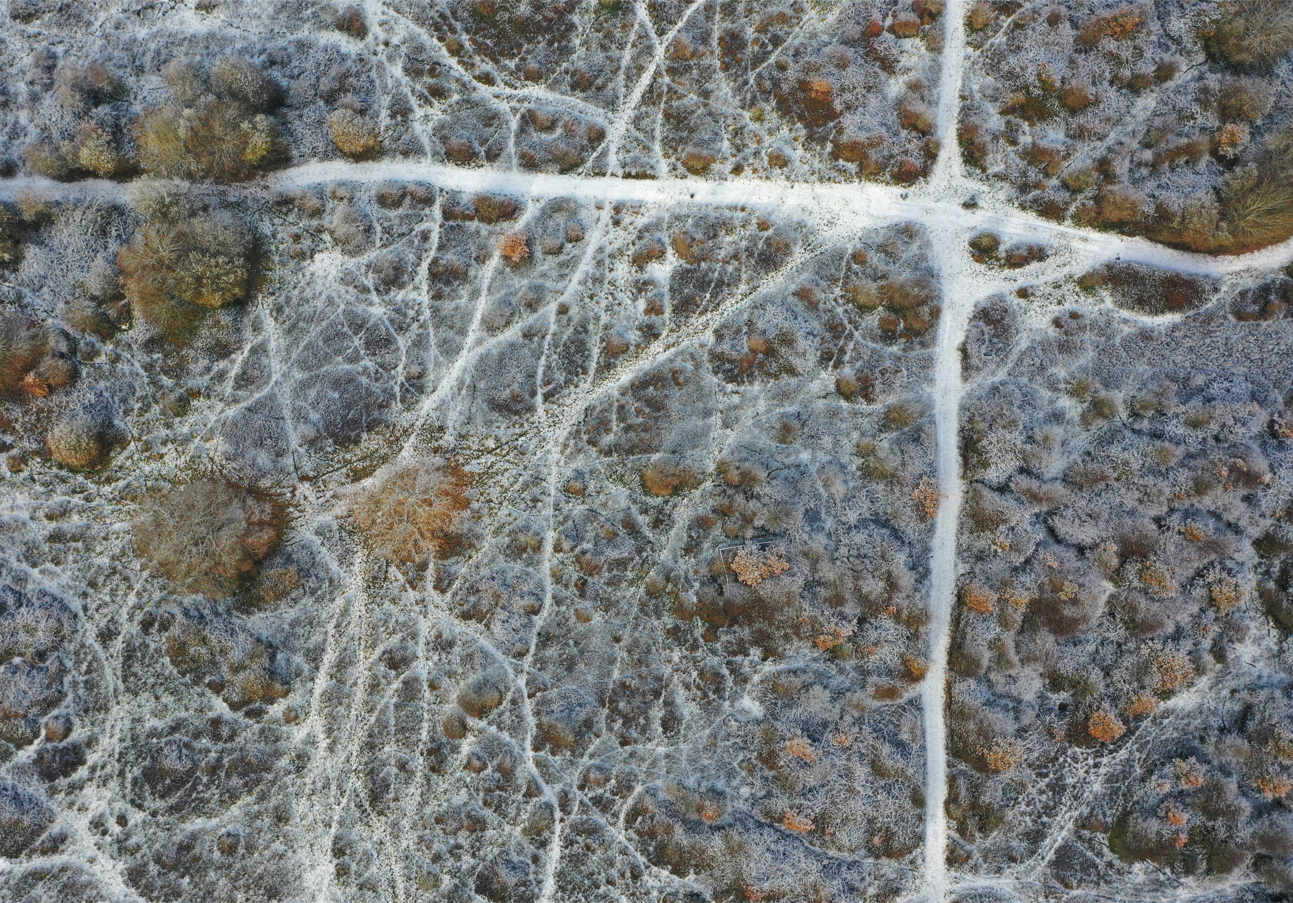  Description coming soon