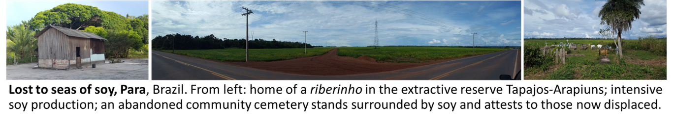  Description coming soon