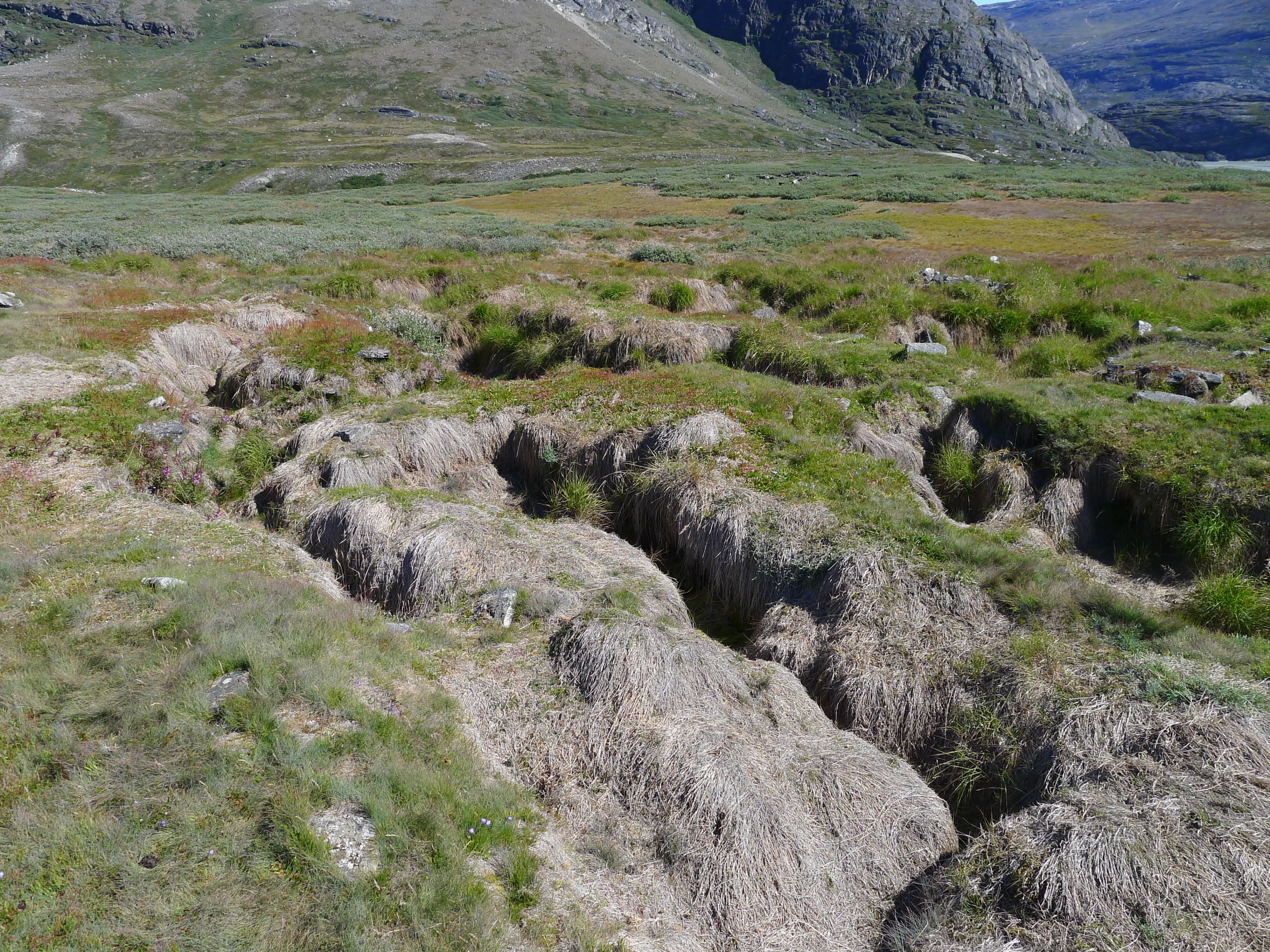  Description coming soon