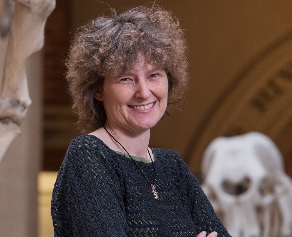  Description coming soon