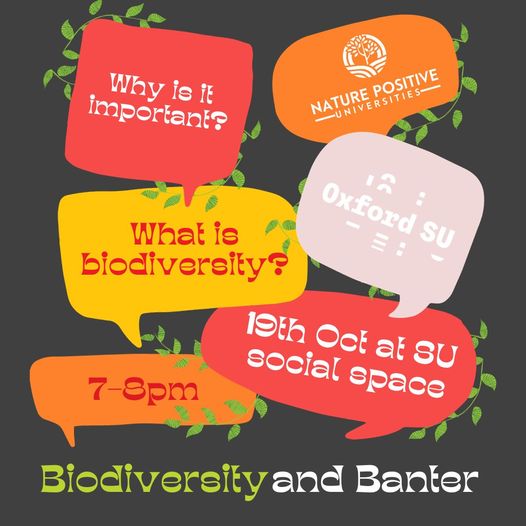  Description coming soon