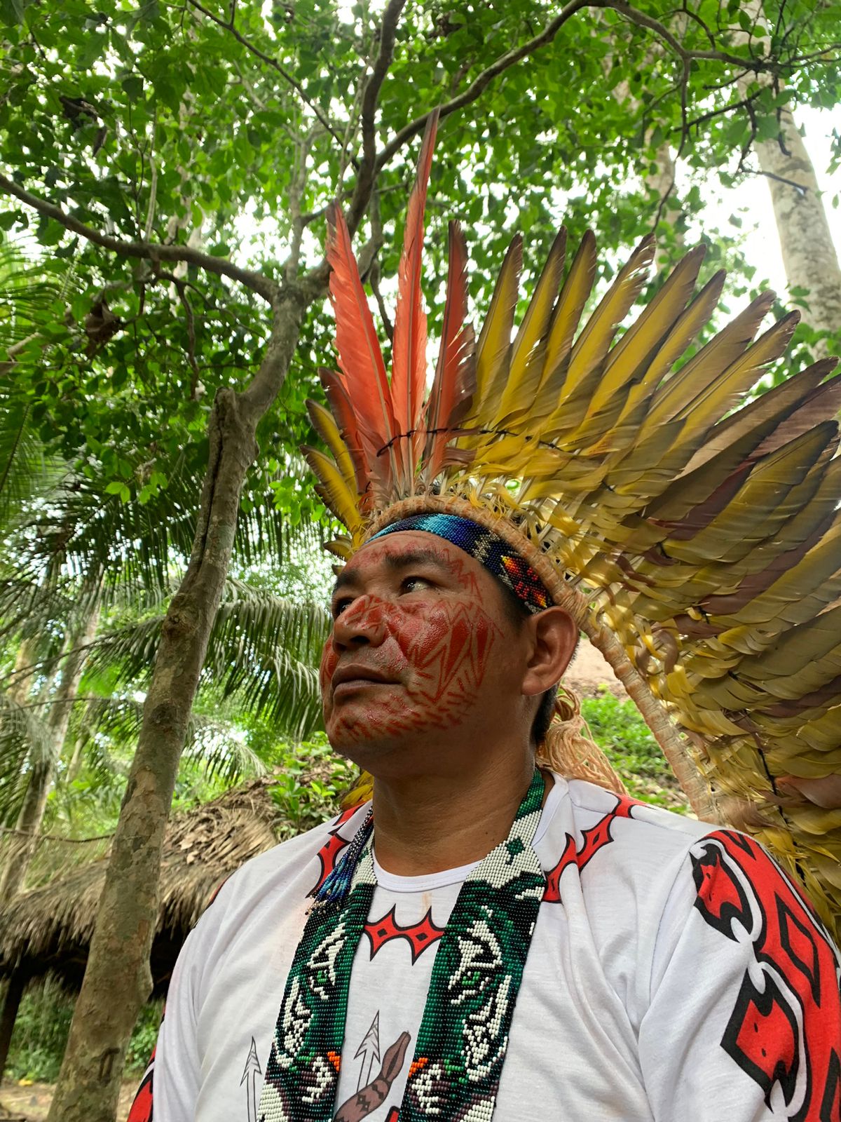  Description coming soon