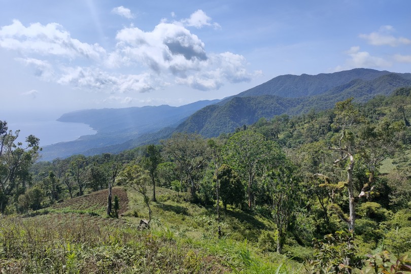  Description coming soon