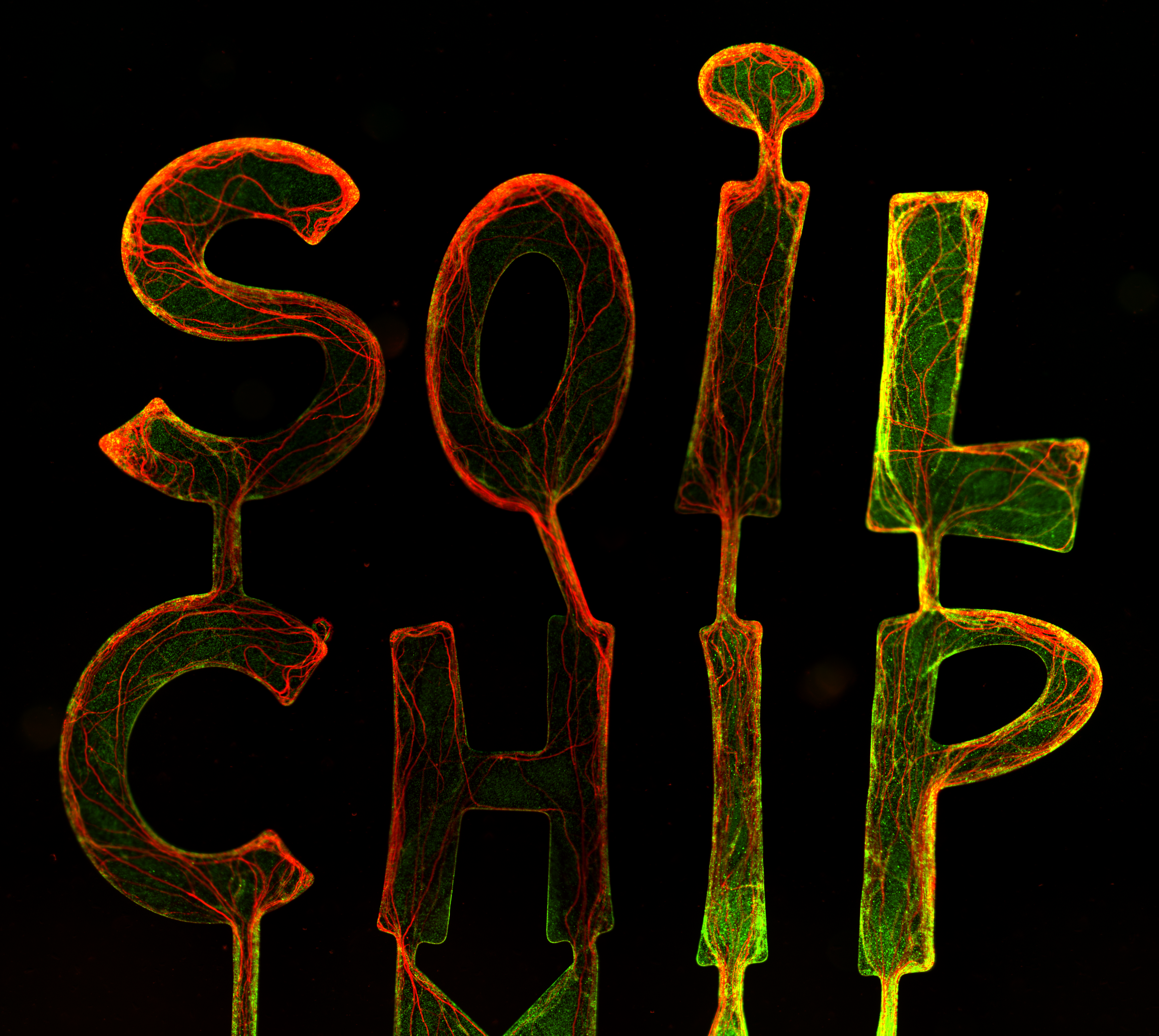  Description coming soon