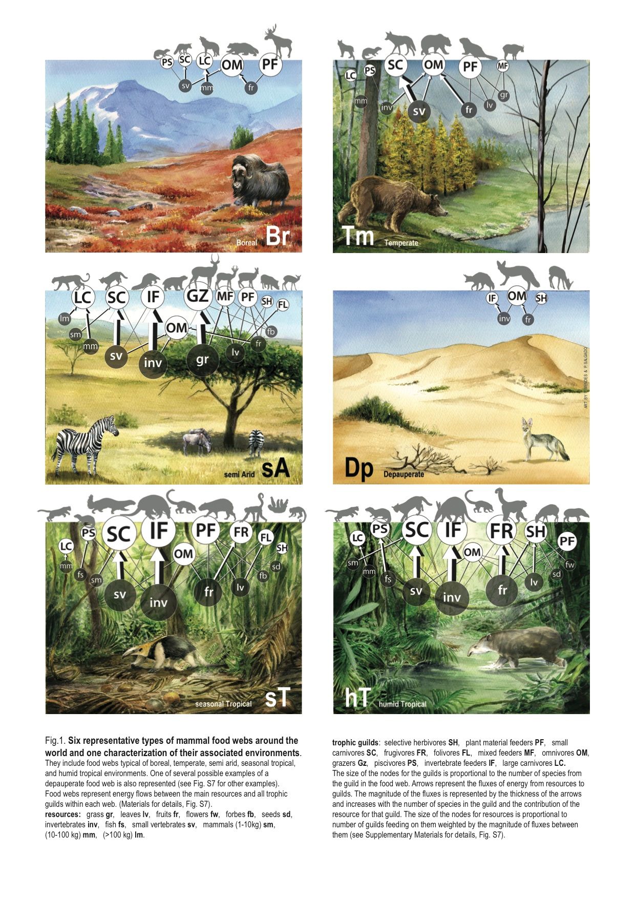  Description coming soon