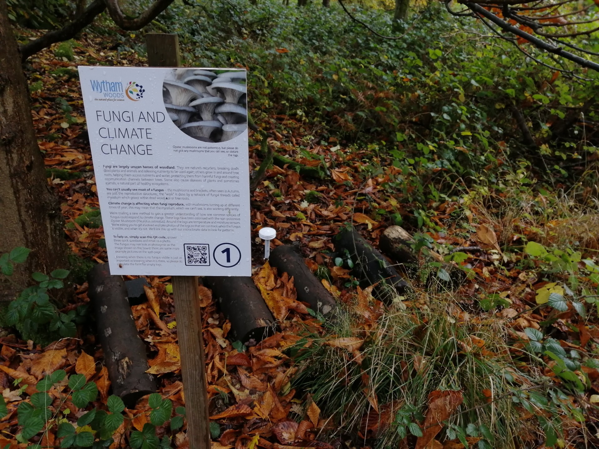  Description coming soon