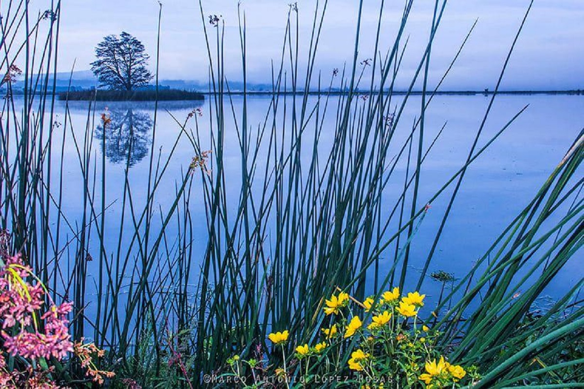  Description coming soon