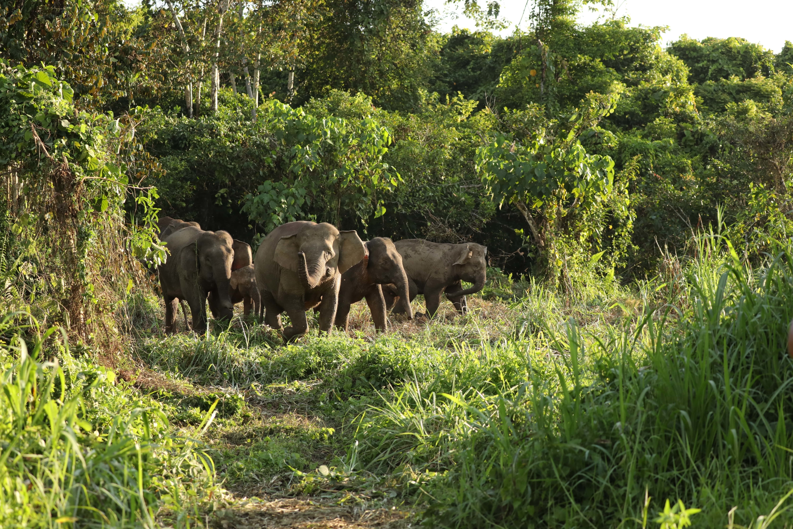  Description coming soon