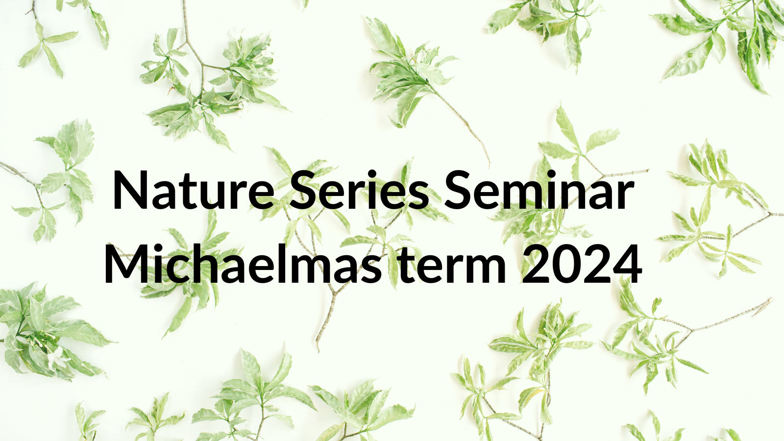  Description coming soon