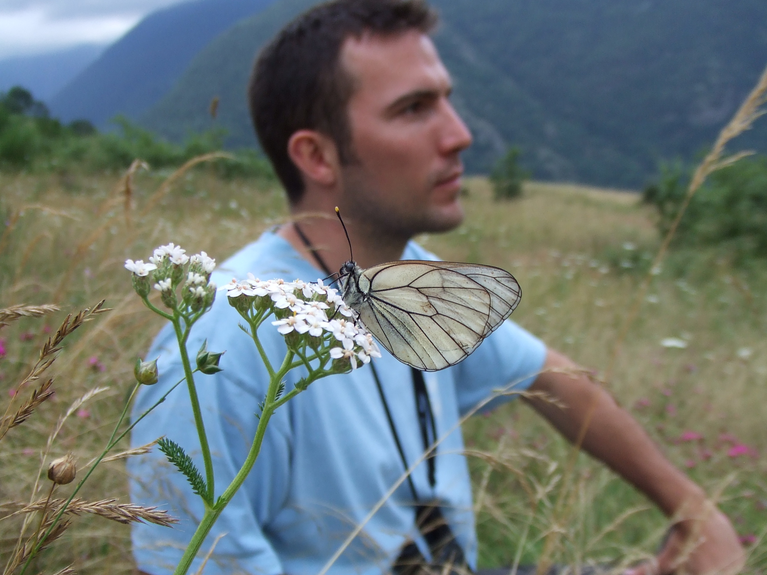  Description coming soon