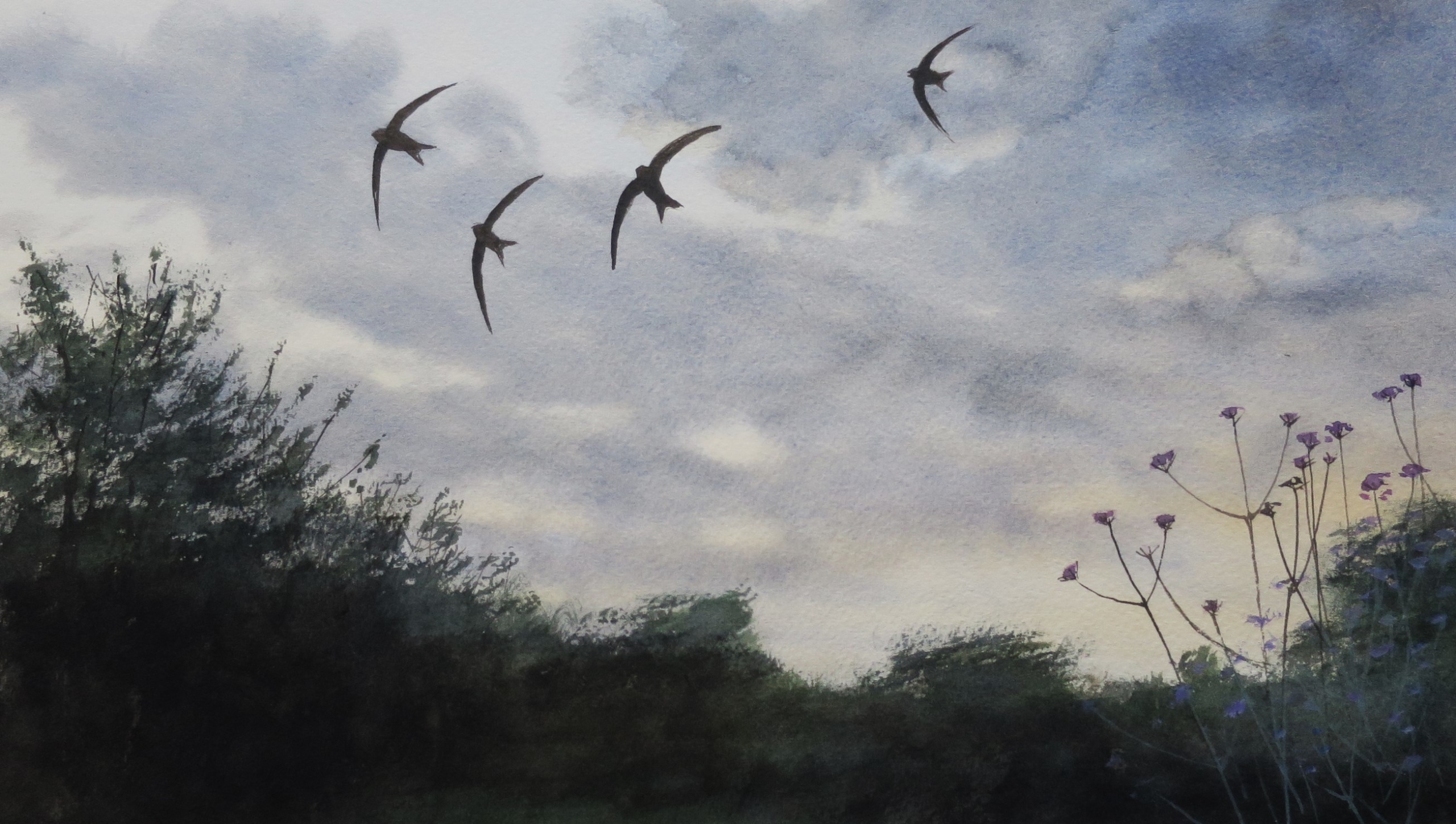  Description coming soon