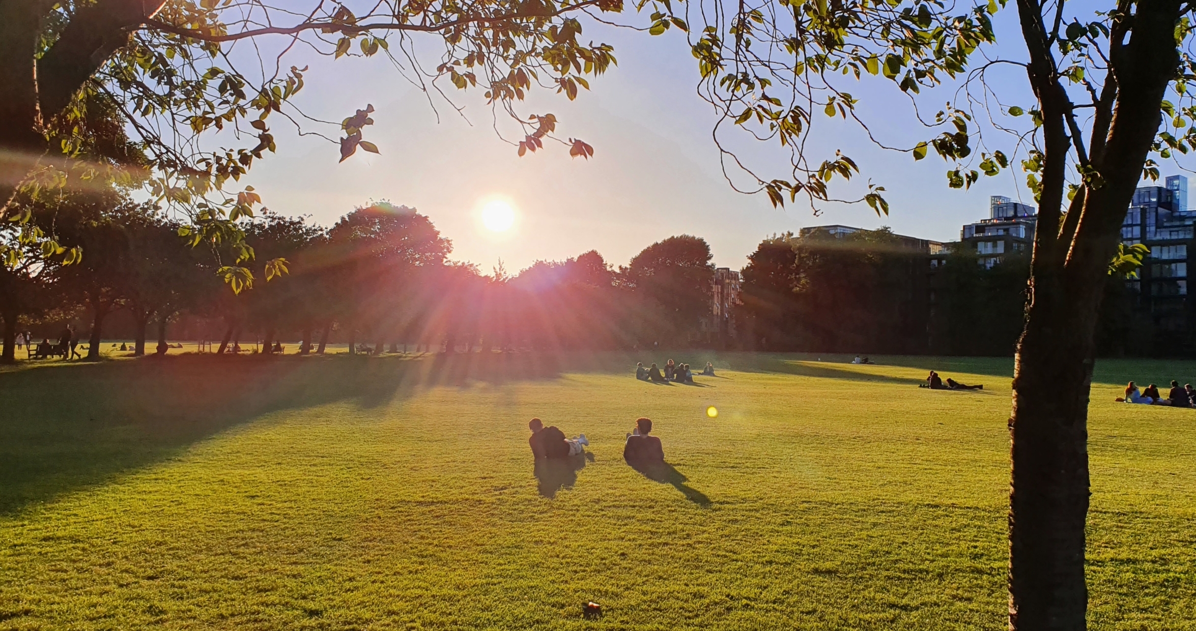  Description coming soon