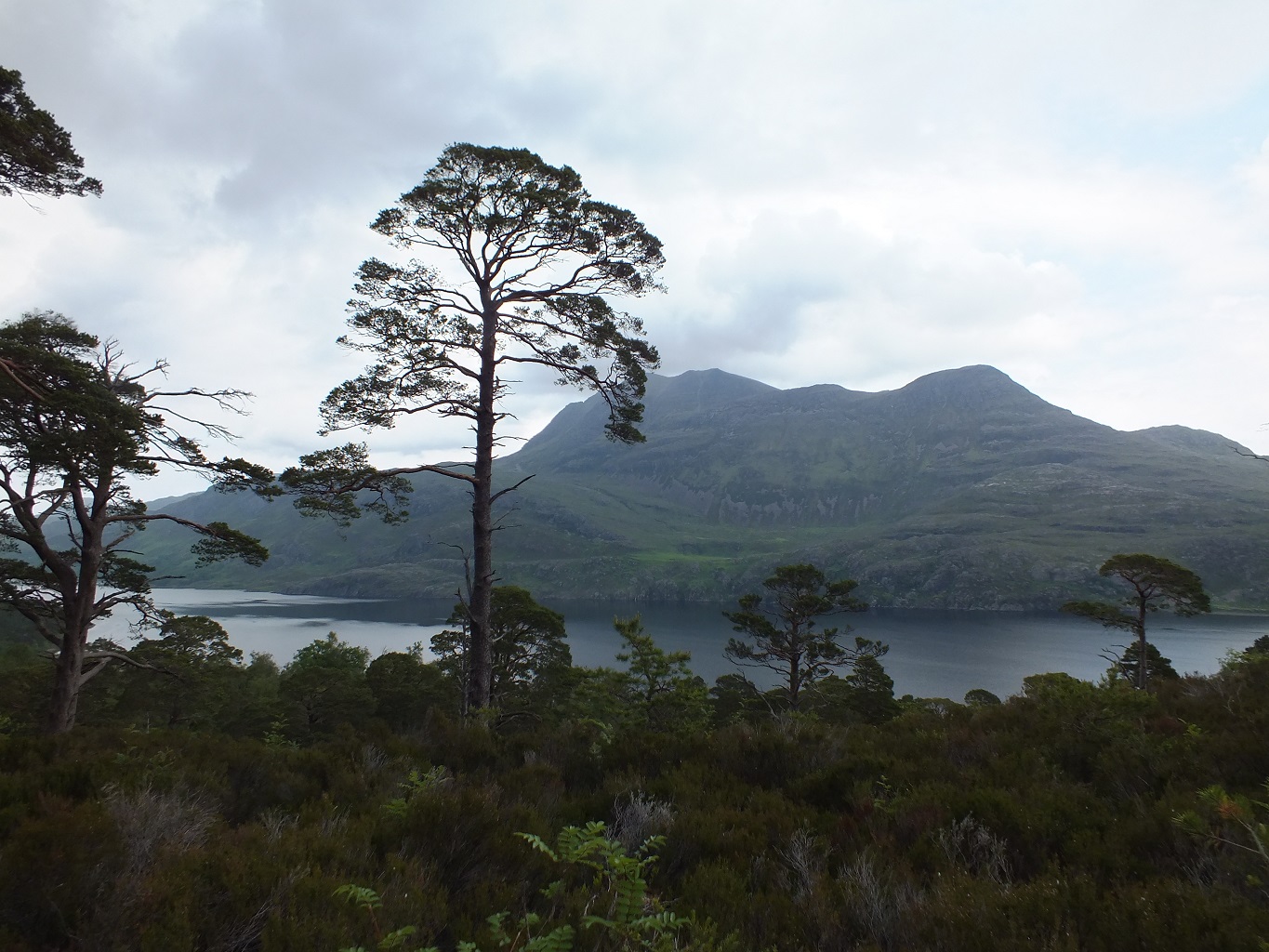  Description coming soon