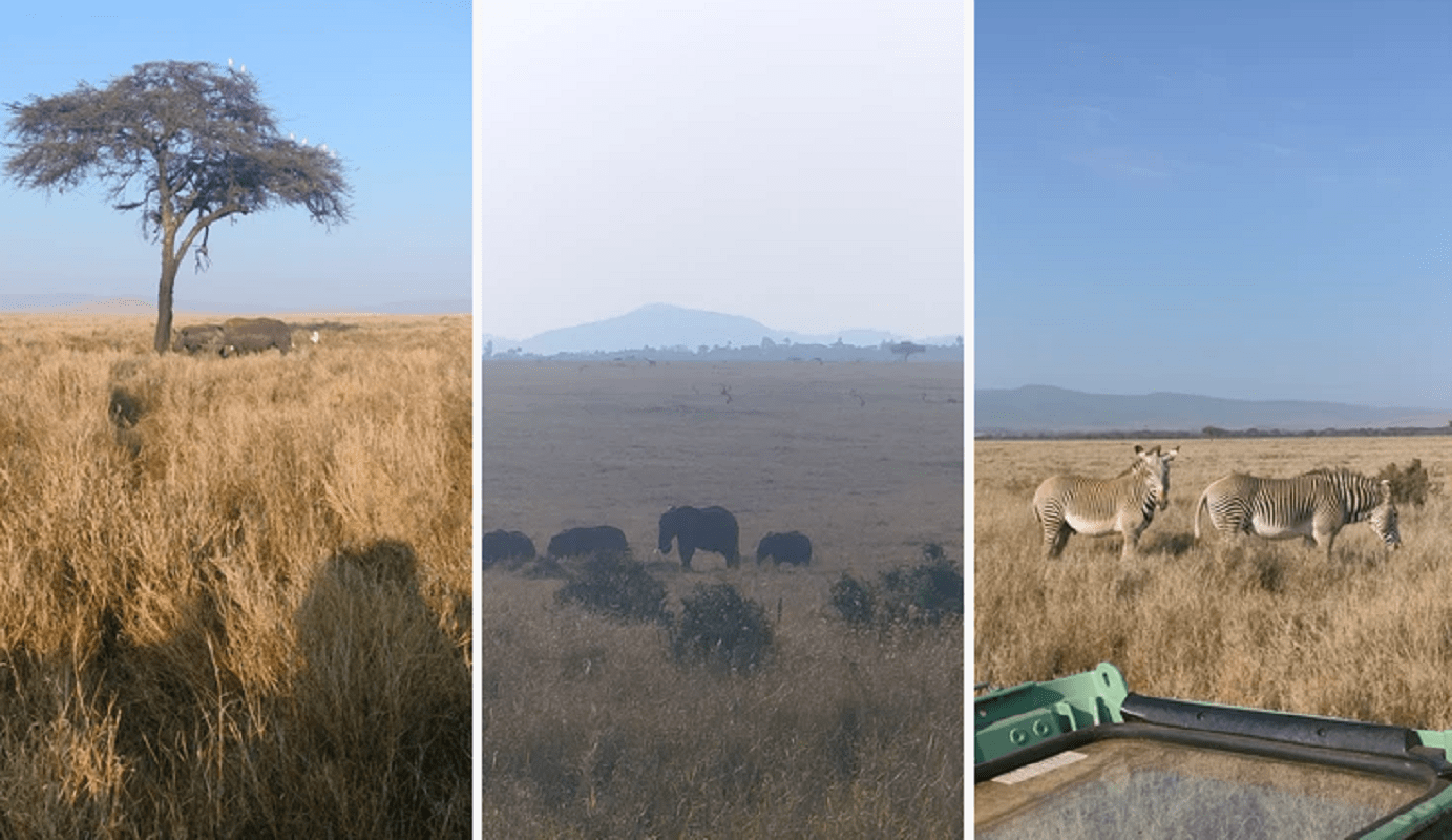 Description coming soon