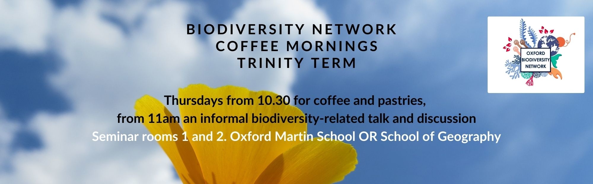  Description coming soon