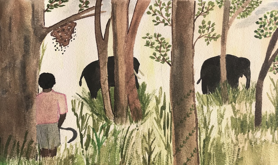  Description coming soon