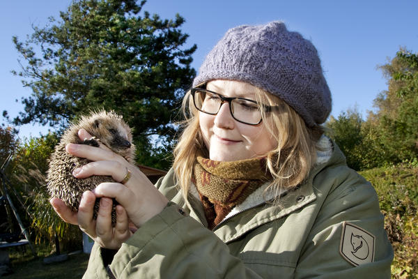  Description coming soon