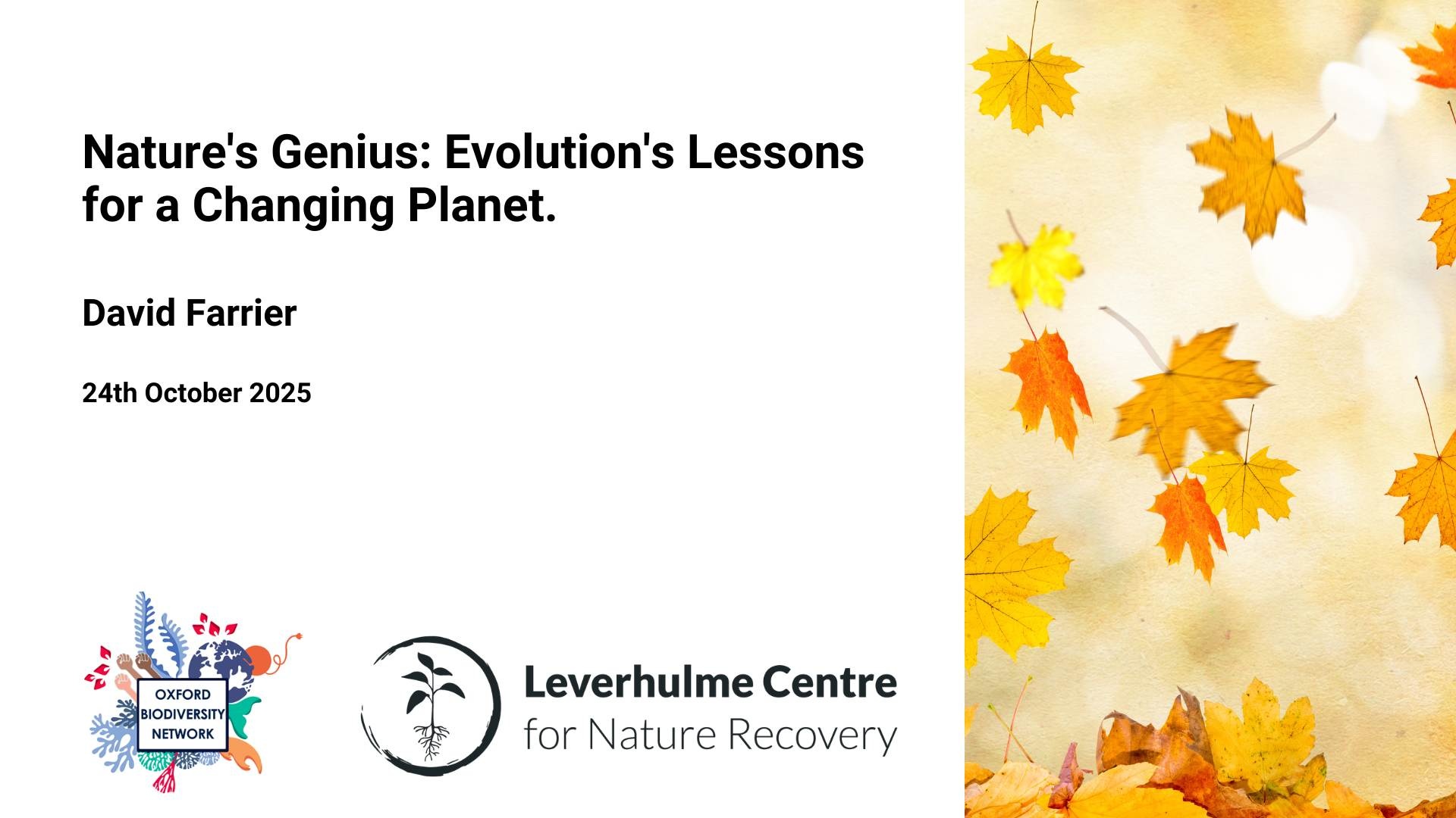  Description coming soon