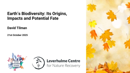  Description coming soon