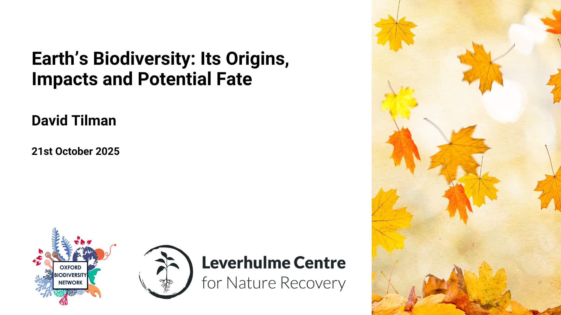  Description coming soon