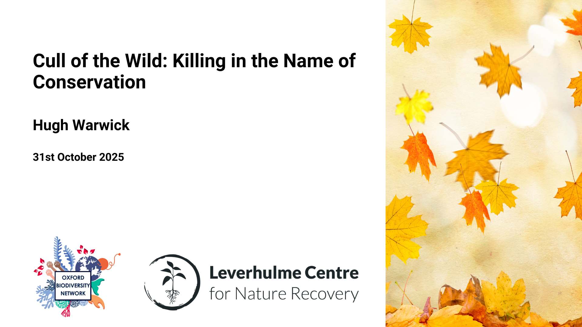  Description coming soon