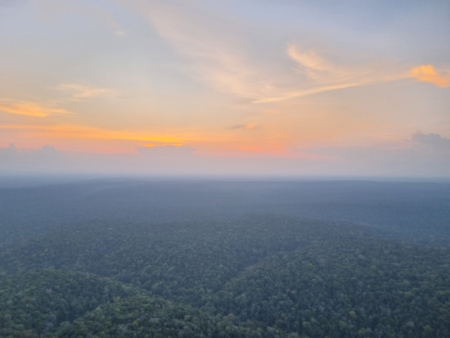 Description coming soon