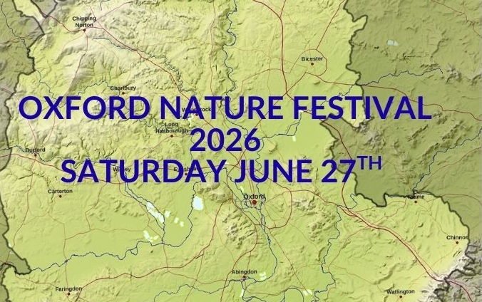  Description coming soon