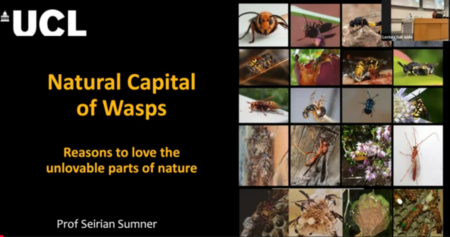  Description coming soon