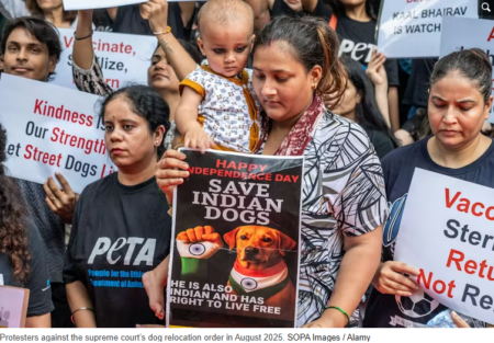 Description coming soon