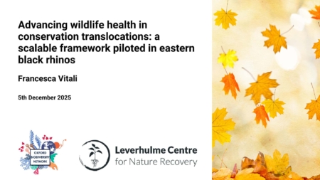  Description coming soon