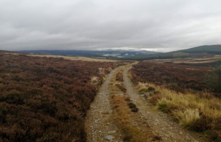 Description coming soon