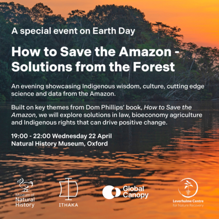  Description coming soon